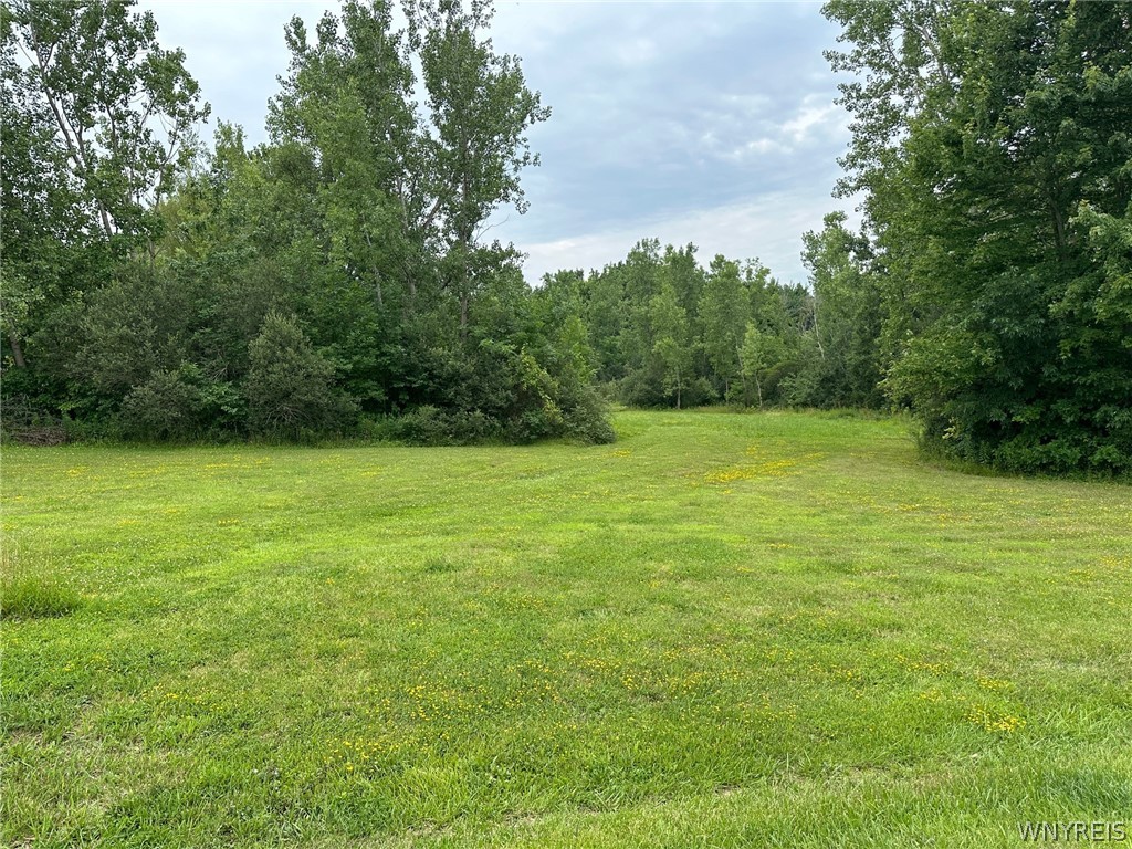 5990 Chestnut Road, Unit LOT 4 Newfane, NY 14094 - Photo 1 of 1