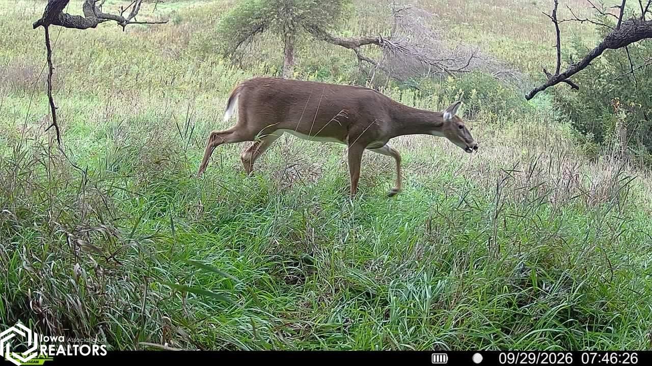 Nature Street Murray, IA 50174 - Photo 23 of 23 Gallery Image 23