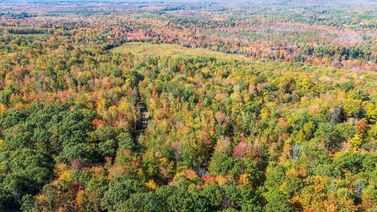 14 Map Road Union, ME 04862 - Photo 20 of 25 Map 14 Lot 21 Shepard Hill Rd, Union