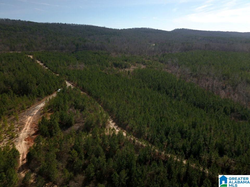 0 Tim King Road, Unit 3 Oneonta, AL 35121 - Photo 2 of 4