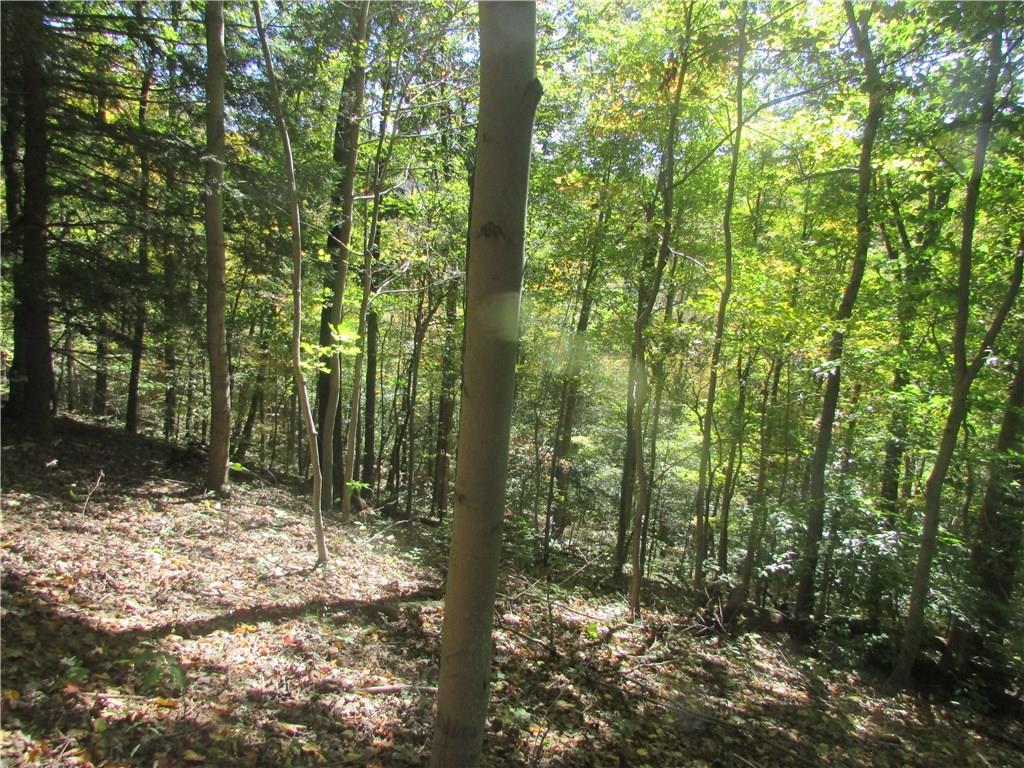765 Barren Run Road Smithton, PA 15479 - Photo 15 of 18 Gallery Image 15