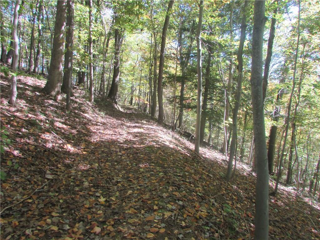 765 Barren Run Road Smithton, PA 15479 - Photo 17 of 18 Gallery Image 17
