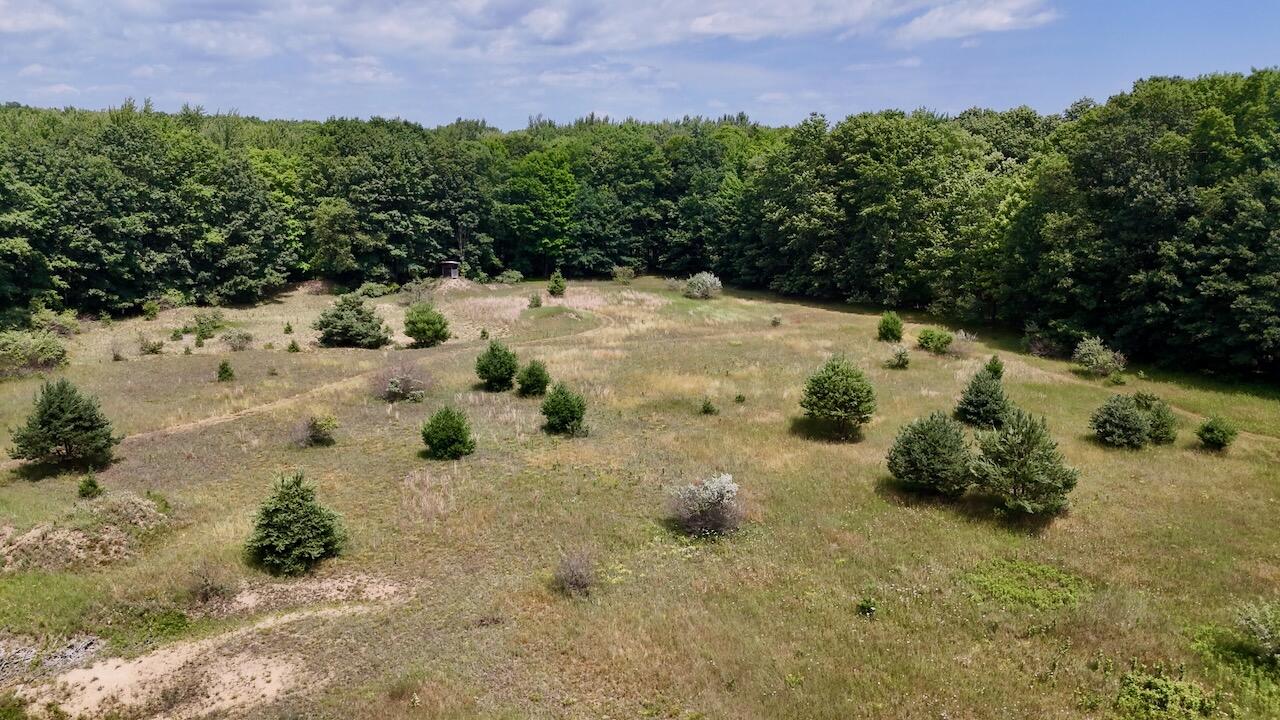 4718 Church Road Six Lakes, MI 48886 - Photo 50 of 76 047