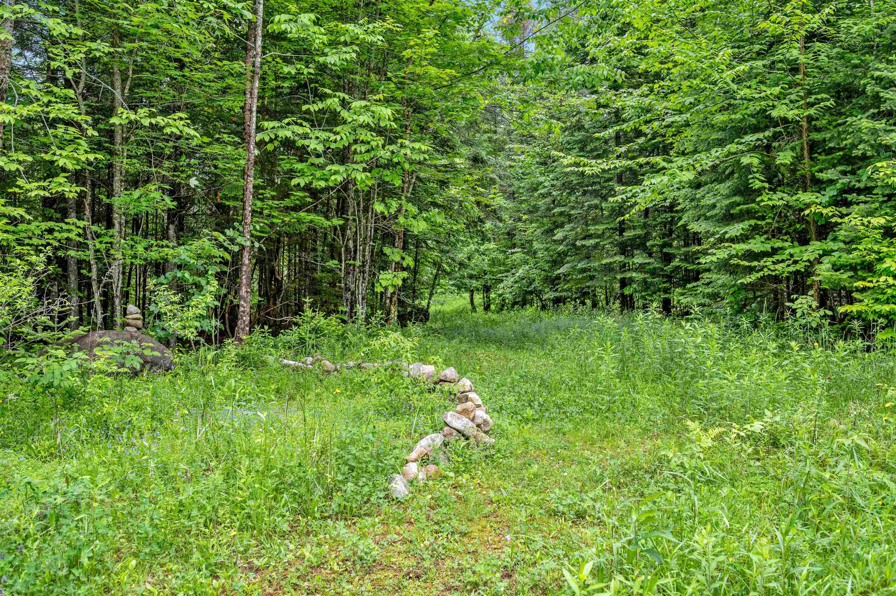 228 Guyette Road Marshfield, VT 05667 - Photo 29 of 37