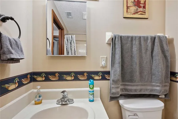 a bathroom with a sink and toilet