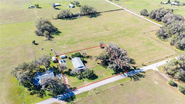 a view of a flower in a lot of flowers