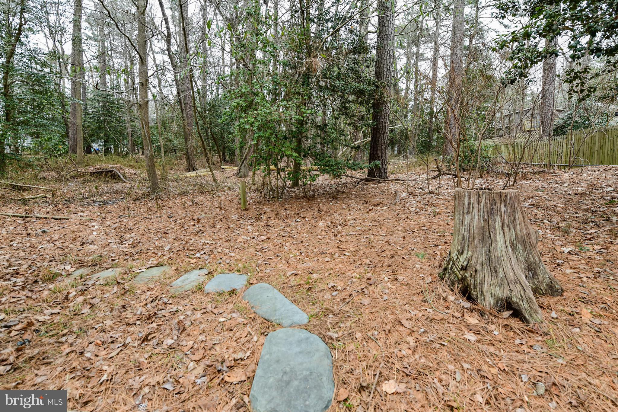 23 Harpoon Road Ocean Pines, MD 21811 - Photo 21 of 24 Yard