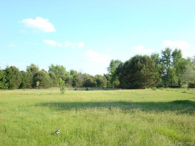 1276 East Burnside Road North Branch, MI 48461 - Photo 13 of 15 1267 burnside rd 057.JPG