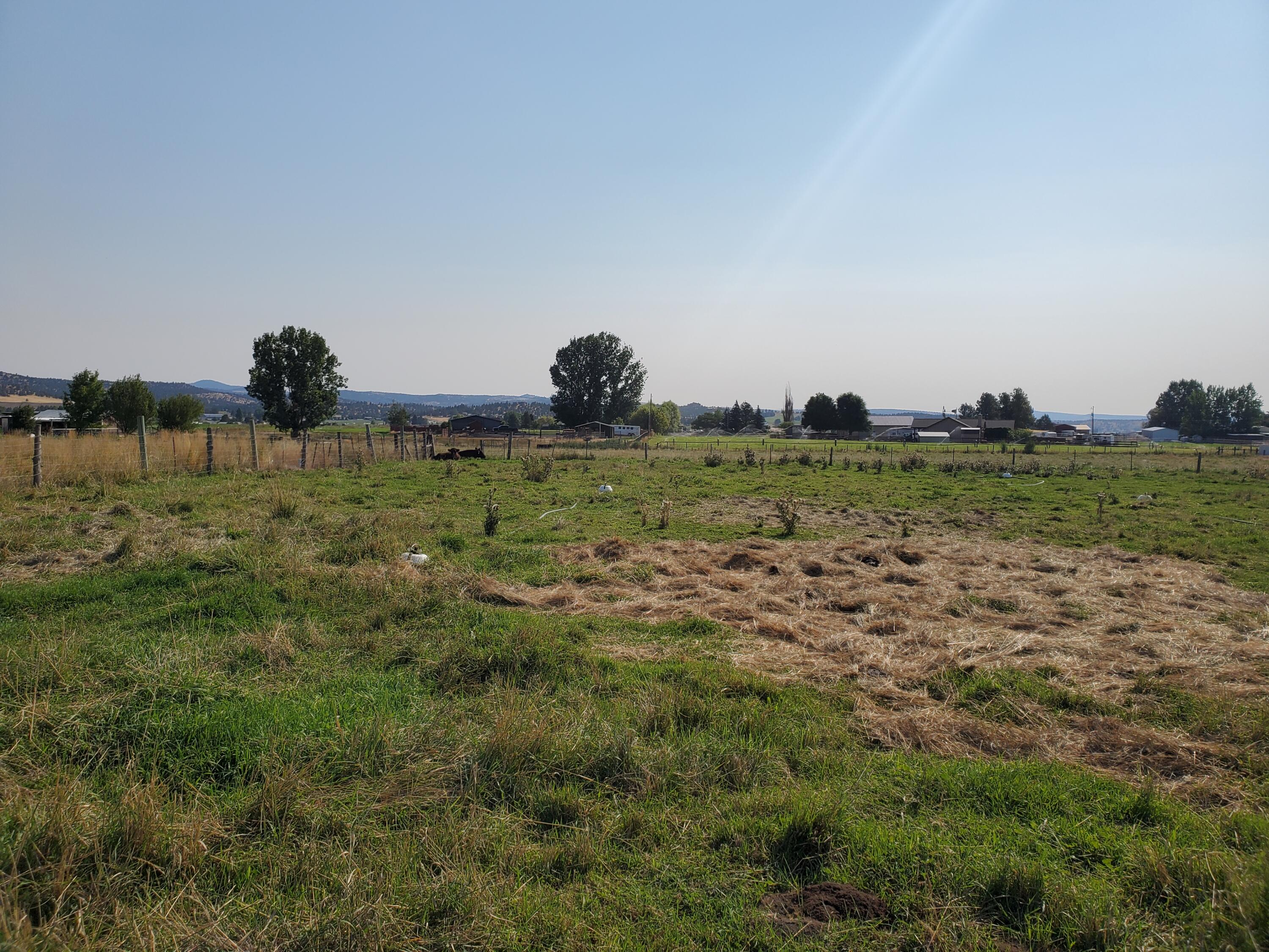 7552 Edwards Road Prineville, OR 97754 - Photo 12 of 19 Pasture
