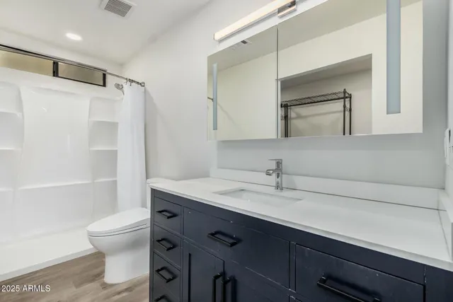 a bathroom with a sink a toilet and shower