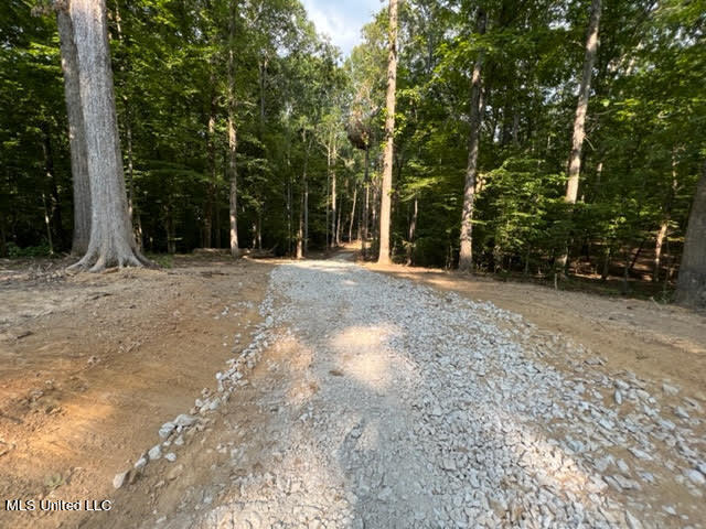 23-24 Sandy Ridge Road Byhalia, MS 38611 - Photo 1 of 12 6.3 ACRES