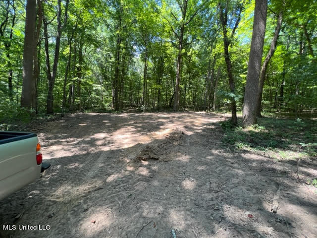 23-24 Sandy Ridge Road Byhalia, MS 38611 - Photo 11 of 12 7-7-22