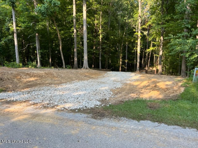 23-24 Sandy Ridge Road Byhalia, MS 38611 - Photo 2 of 12 unnamed 30