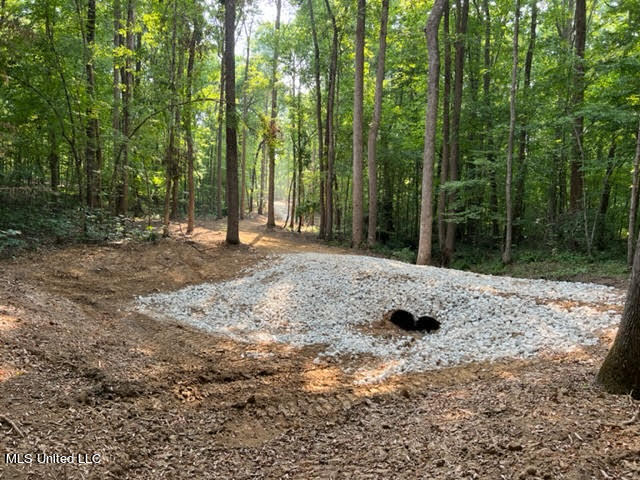 23-24 Sandy Ridge Road Byhalia, MS 38611 - Photo 3 of 12 unnamed (31)