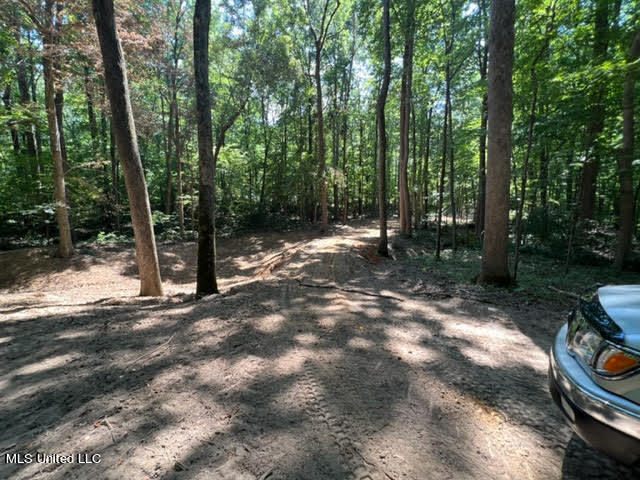 23-24 Sandy Ridge Road Byhalia, MS 38611 - Photo 5 of 12 26