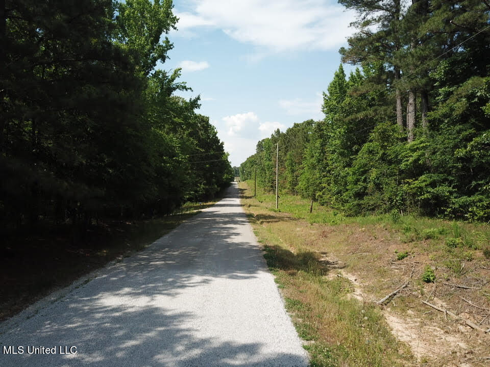 23-24 Sandy Ridge Road Byhalia, MS 38611 - Photo 6 of 12 unnamed (8)