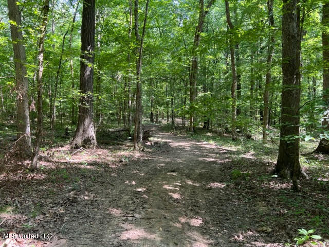 23-24 Sandy Ridge Road Byhalia, MS 38611 - Photo 7 of 12 unnamed (14)