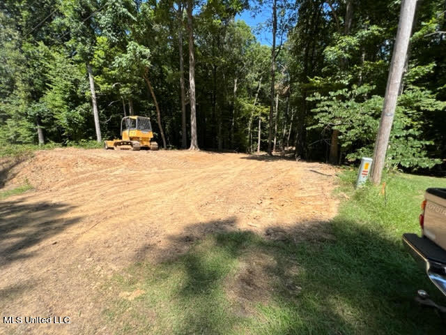 23-24 Sandy Ridge Road Byhalia, MS 38611 - Photo 8 of 12 unnamed (13)