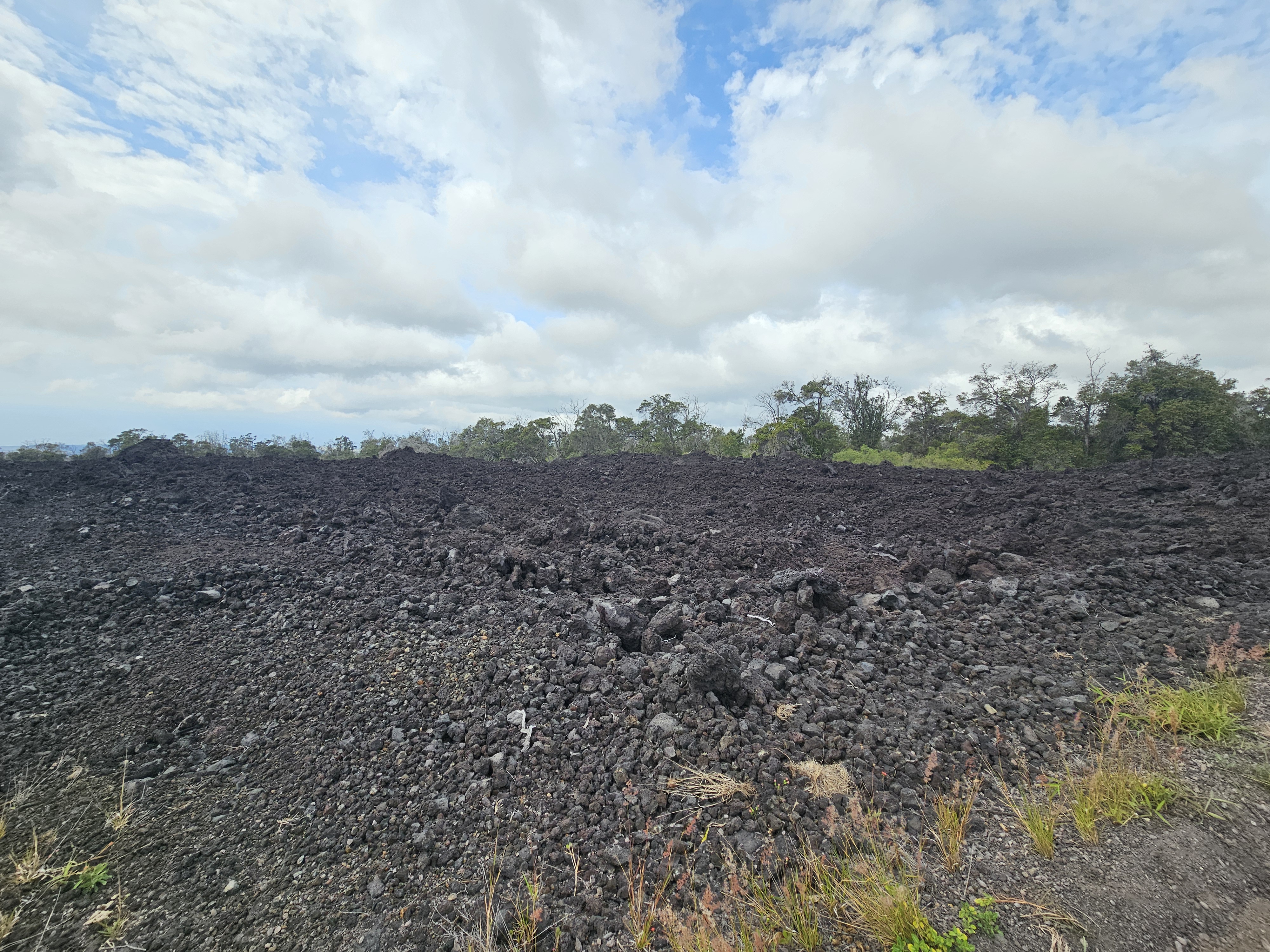 9 Reef Circle Ocean View, HI 96704 - Photo 2 of 7 a view of a big yard with wooden fence