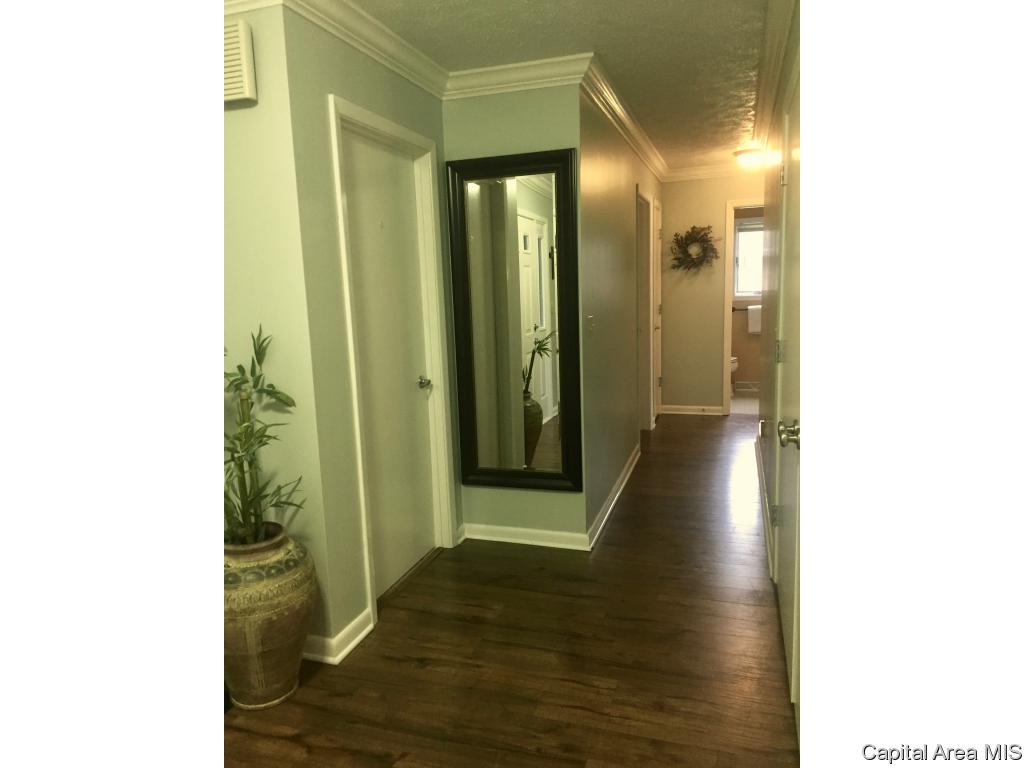 807 West Washington Street Athens, IL 62613 - Photo 19 of 36 Gallery Image 19
