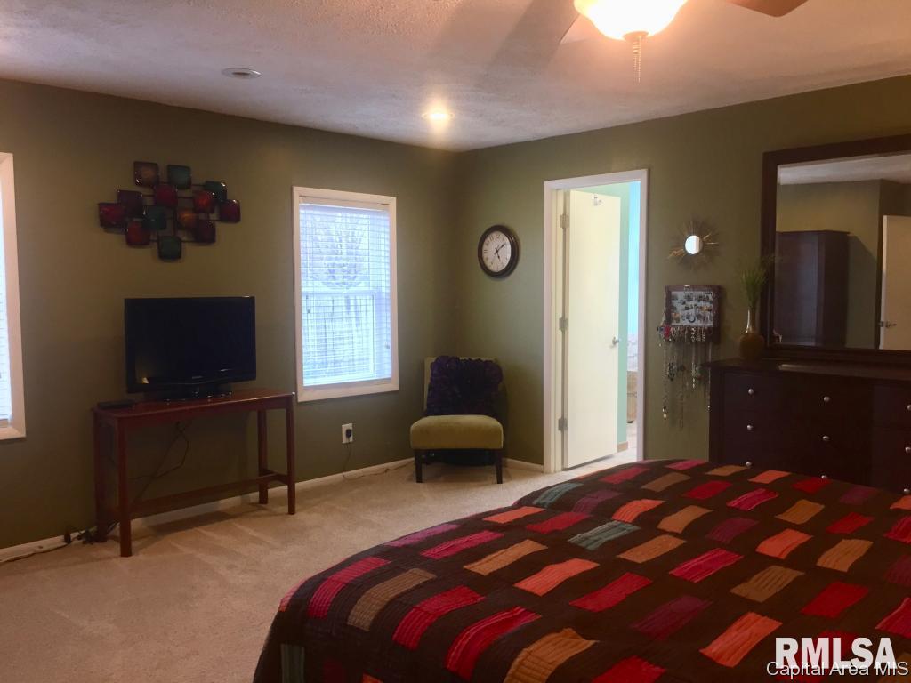 807 West Washington Street Athens, IL 62613 - Photo 21 of 36 Gallery Image 21