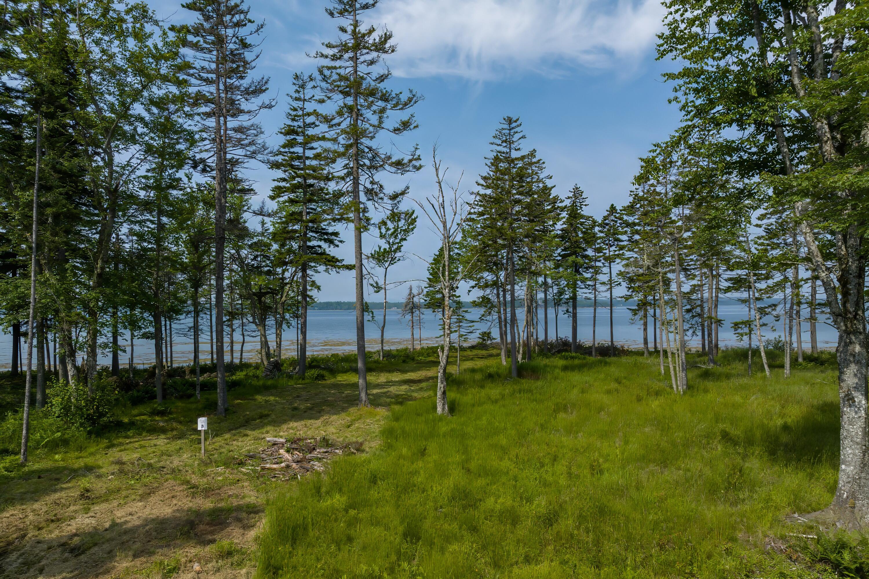 102 Estates Road, Unit LOT #3 Steuben, ME 04680 - Photo 16 of 21 Lot 3 (11)