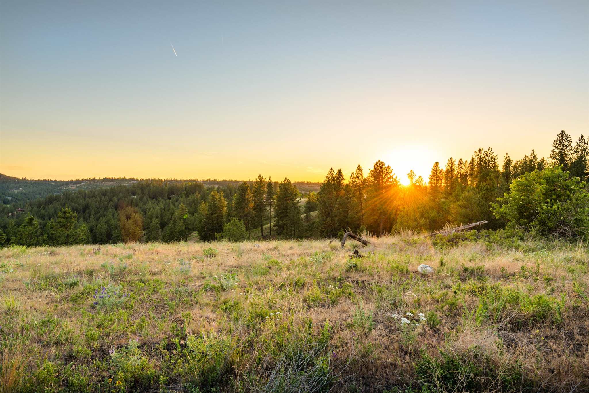 0 South Valley Chapel Road Spokane, WA 99223 - Photo 1 of 19 Gallery Image 1