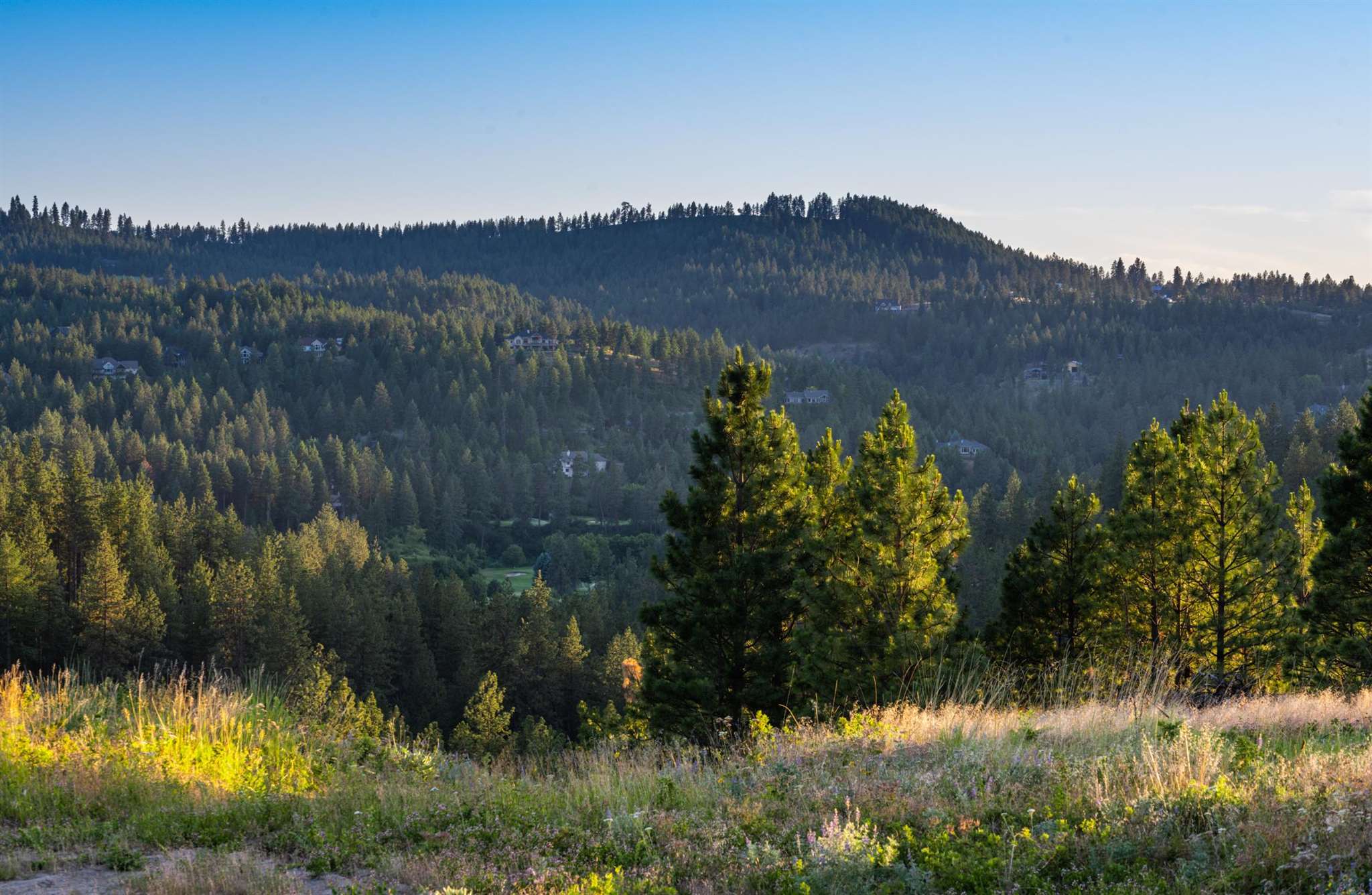 0 South Valley Chapel Road Spokane, WA 99223 - Photo 13 of 19 Gallery Image 13