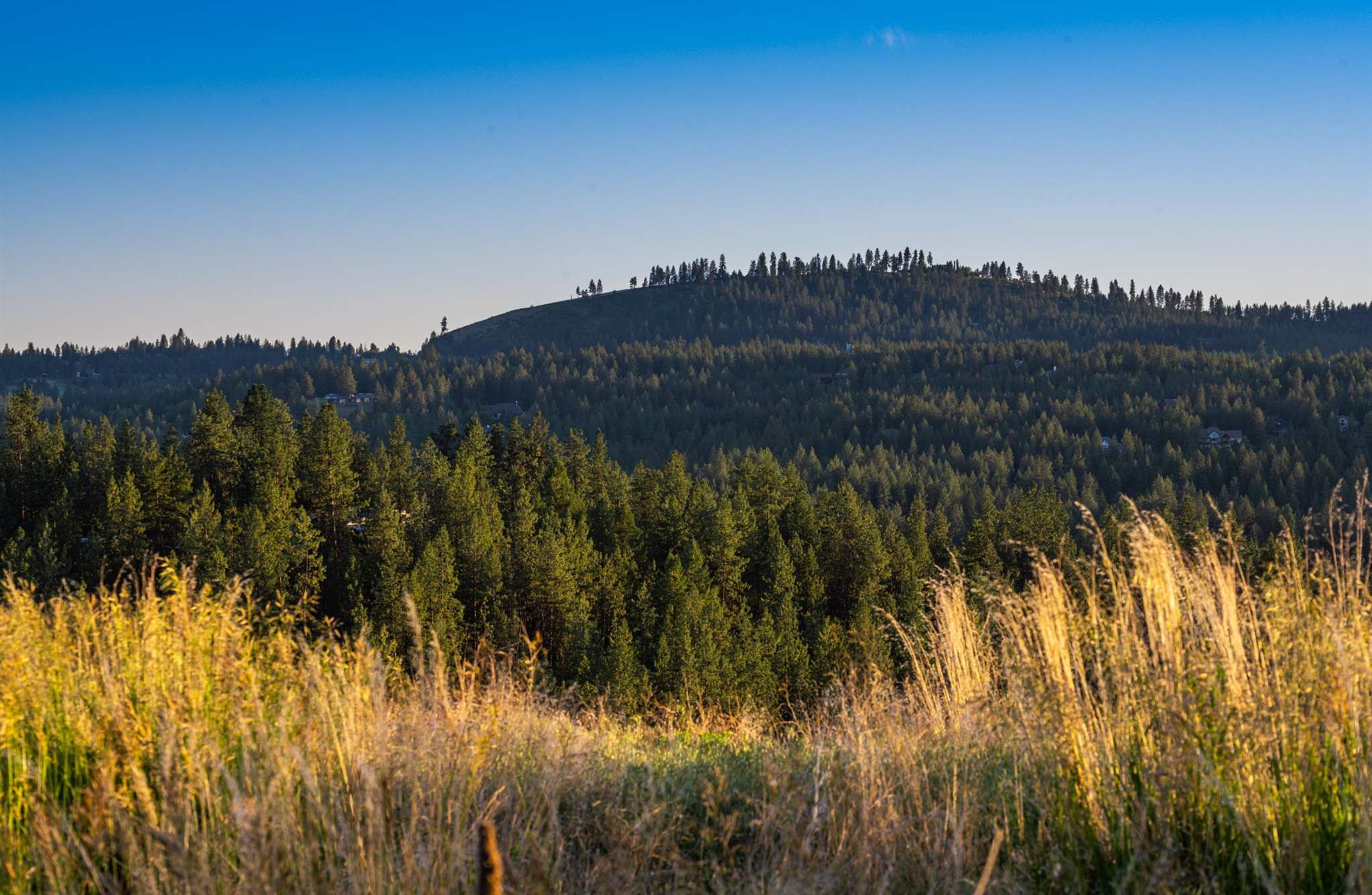 0 South Valley Chapel Road Spokane, WA 99223 - Photo 14 of 19 Gallery Image 14
