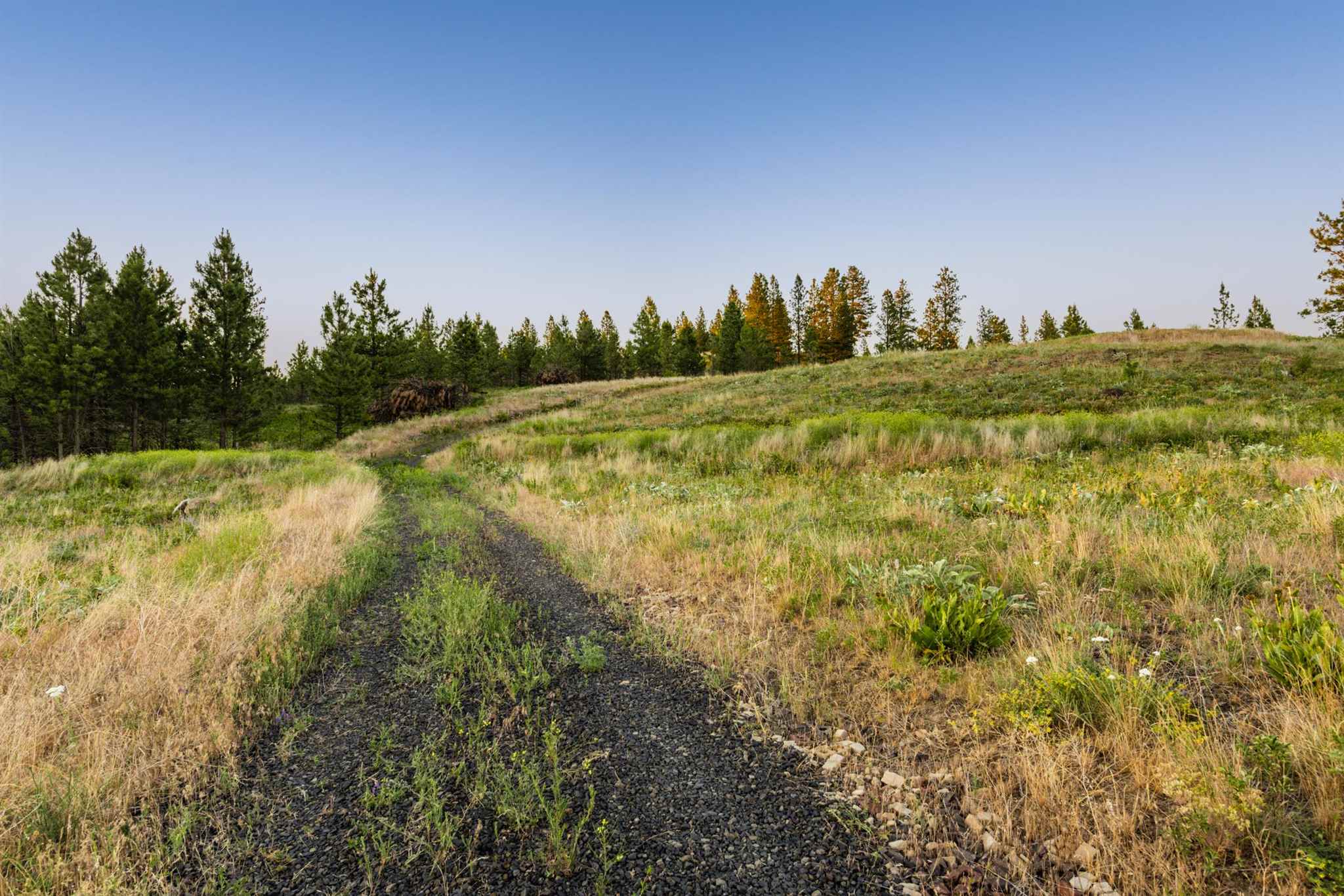 0 South Valley Chapel Road Spokane, WA 99223 - Photo 15 of 19 Gallery Image 15