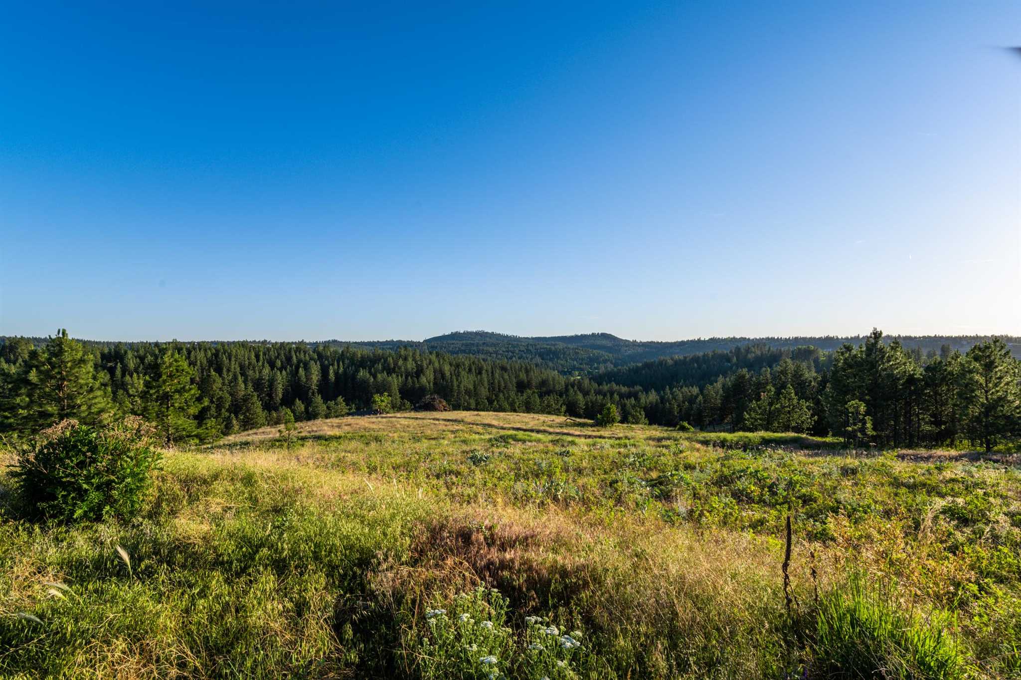 0 South Valley Chapel Road Spokane, WA 99223 - Photo 18 of 19 Gallery Image 18