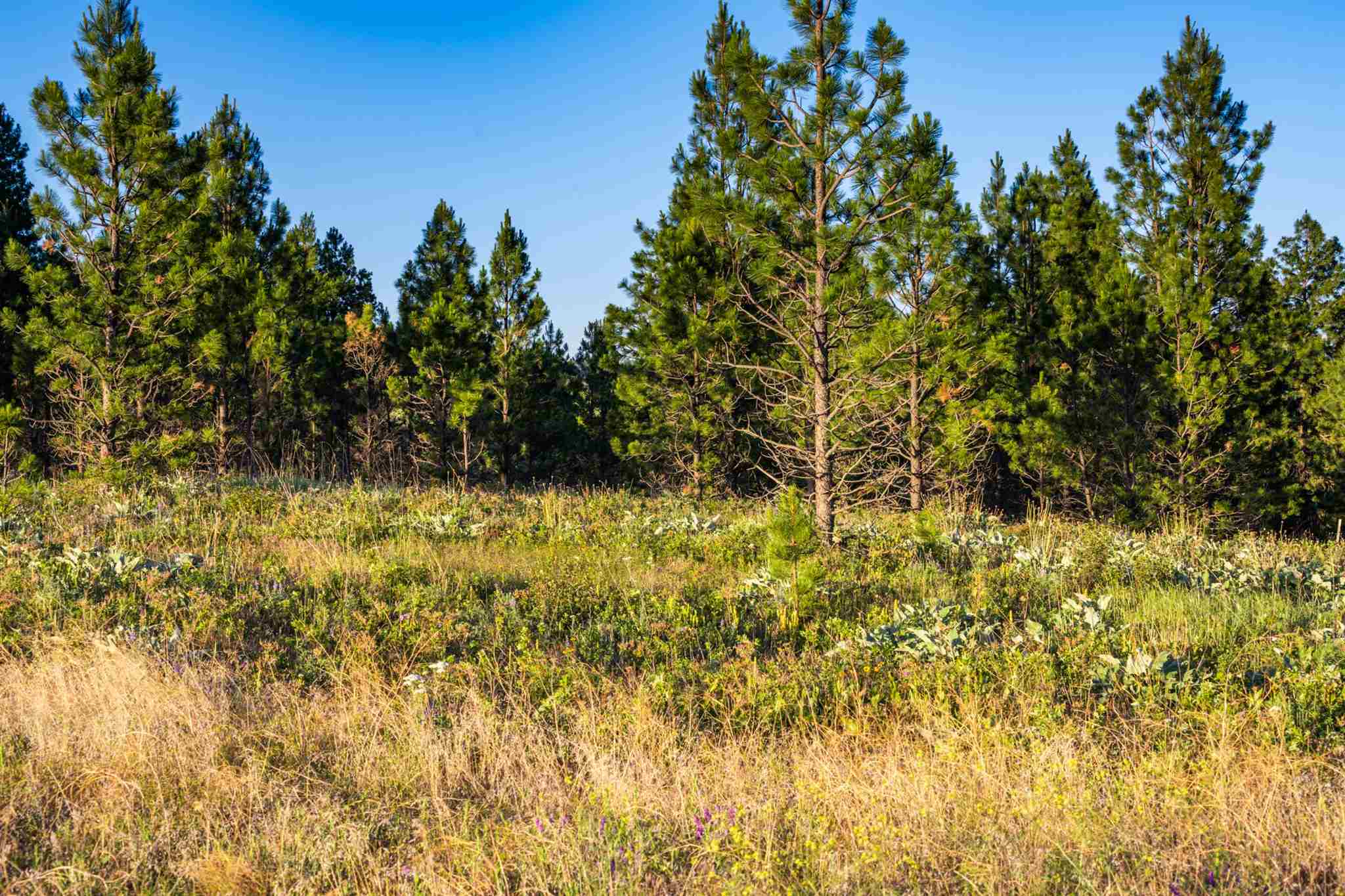0 South Valley Chapel Road Spokane, WA 99223 - Photo 19 of 19 Gallery Image 19