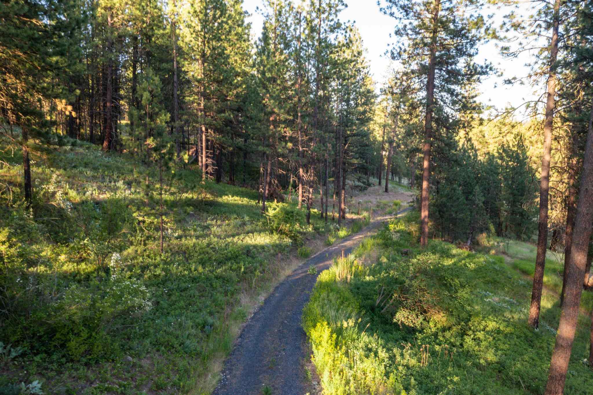 0 South Valley Chapel Road Spokane, WA 99223 - Photo 6 of 19 Gallery Image 6