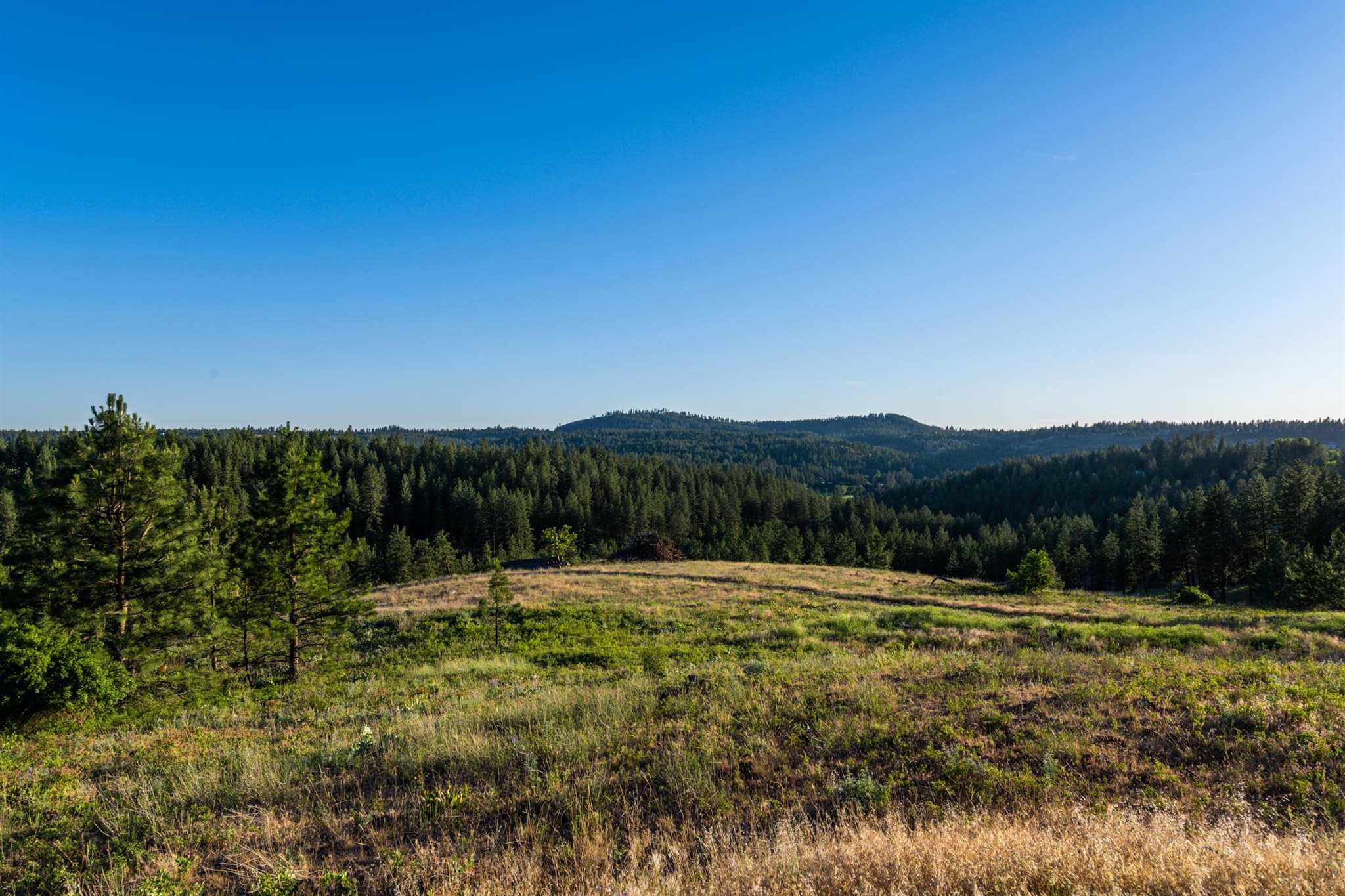 0 South Valley Chapel Road Spokane, WA 99223 - Photo 7 of 19 Gallery Image 7