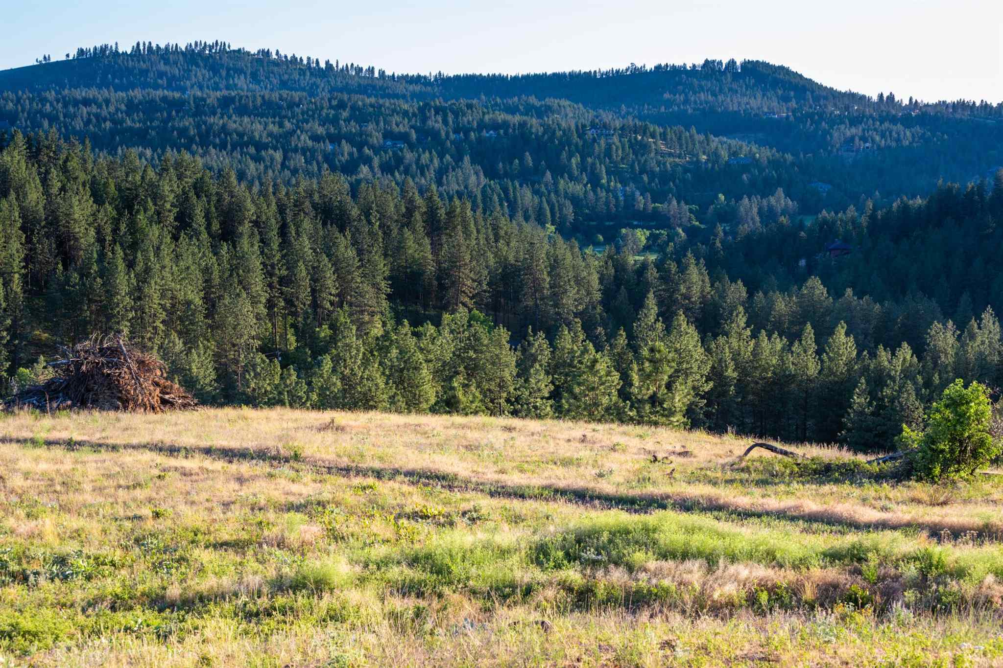 0 South Valley Chapel Road Spokane, WA 99223 - Photo 8 of 19 Gallery Image 8