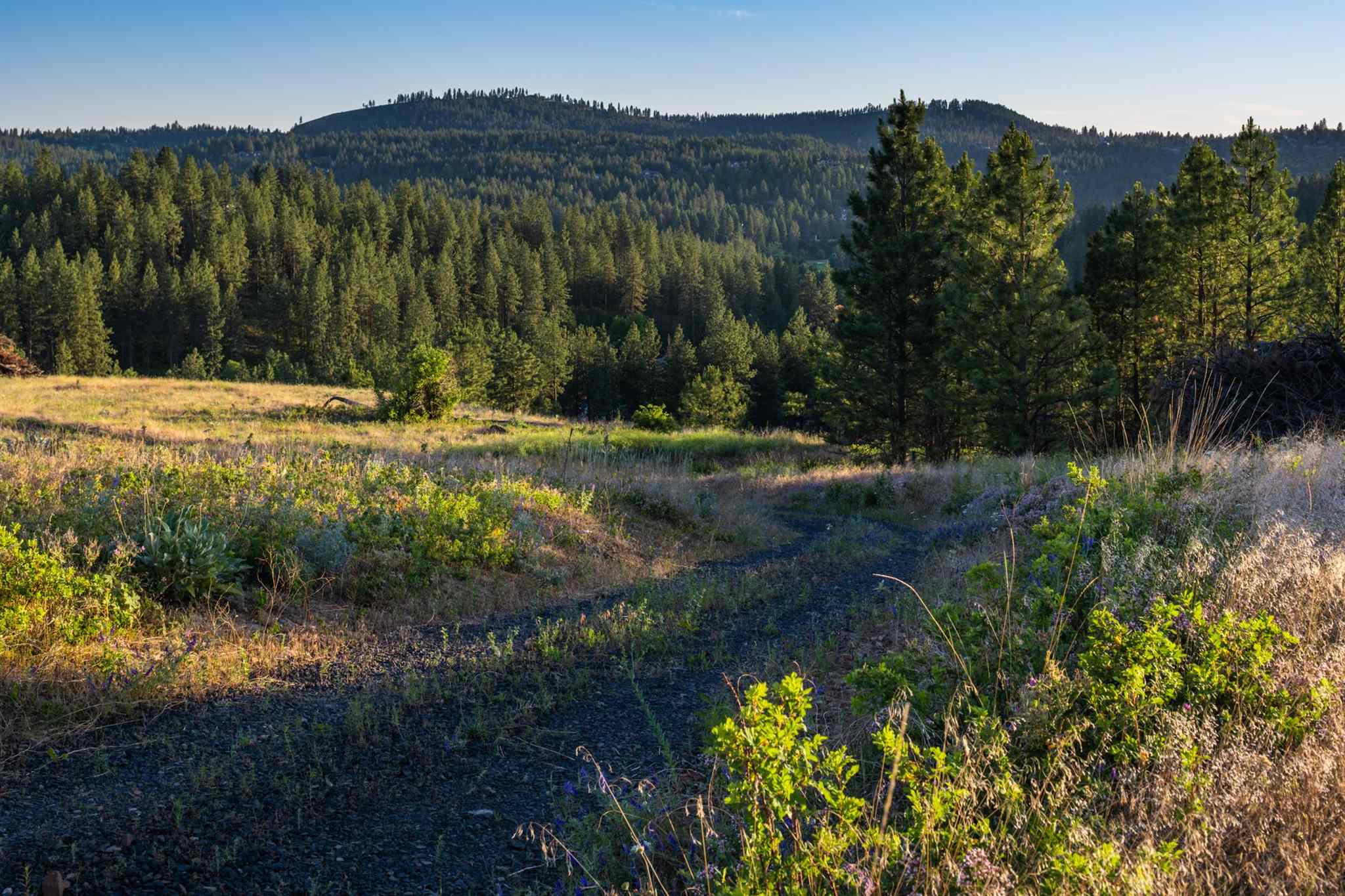 0 South Valley Chapel Road Spokane, WA 99223 - Photo 10 of 19 Gallery Image 10