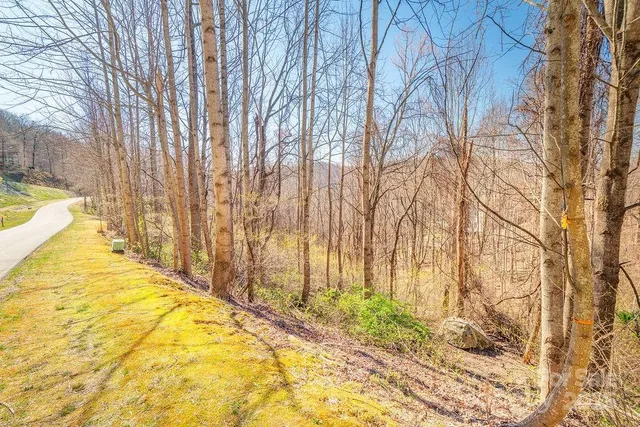 $29,900 | 461 Somersby Parkway, Hendersonville, NC 28739