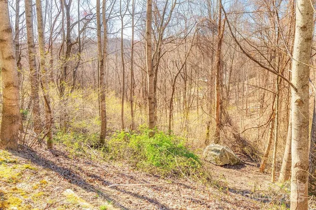 $29,900 | 461 Somersby Parkway, Hendersonville, NC 28739