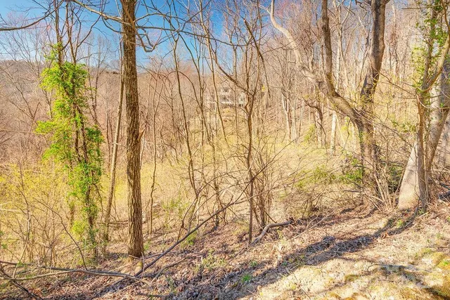 $29,900 | 461 Somersby Parkway, Hendersonville, NC 28739