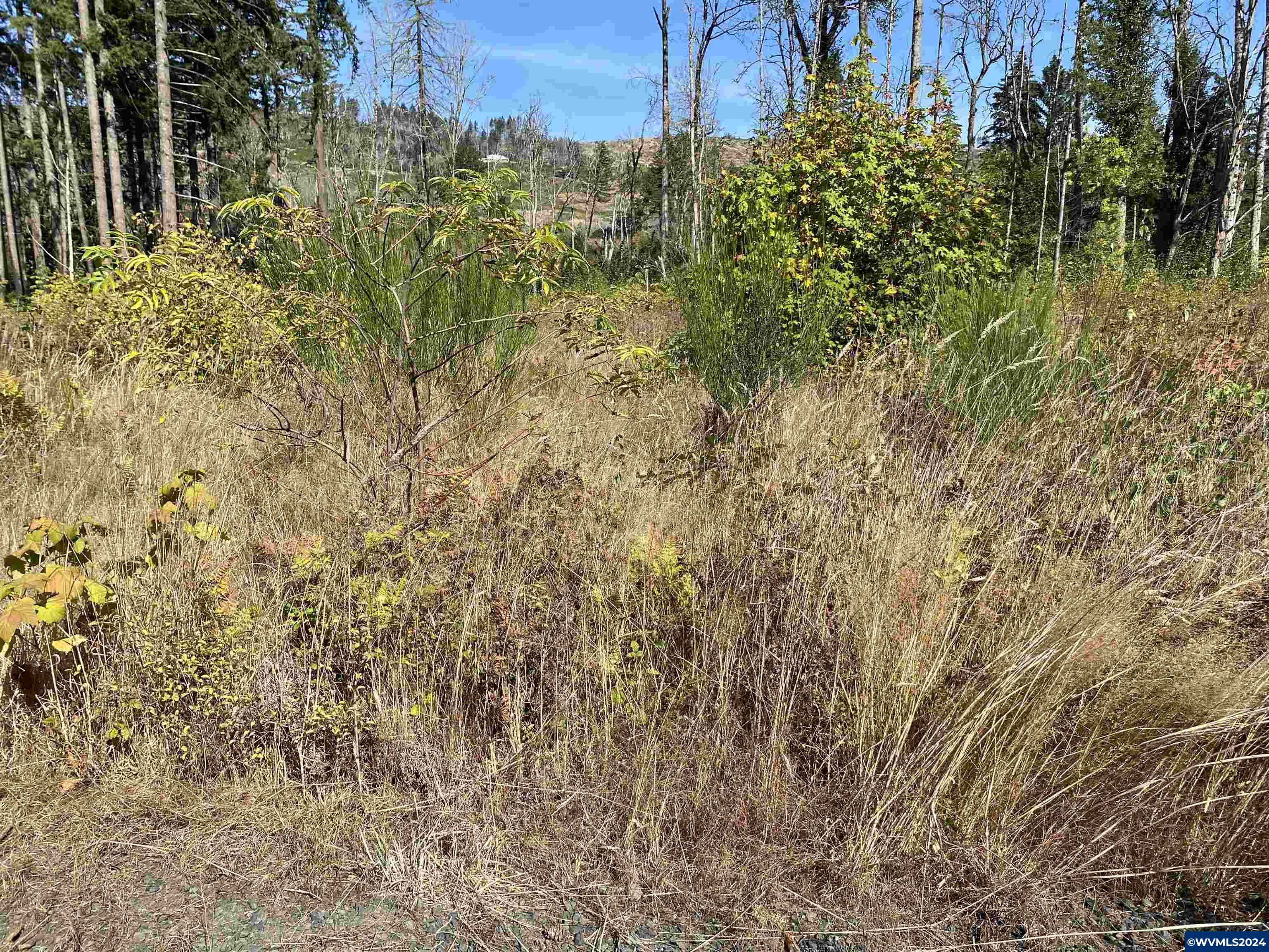 23545 North Fork Road Lyons, OR 97358 - Photo 13 of 16