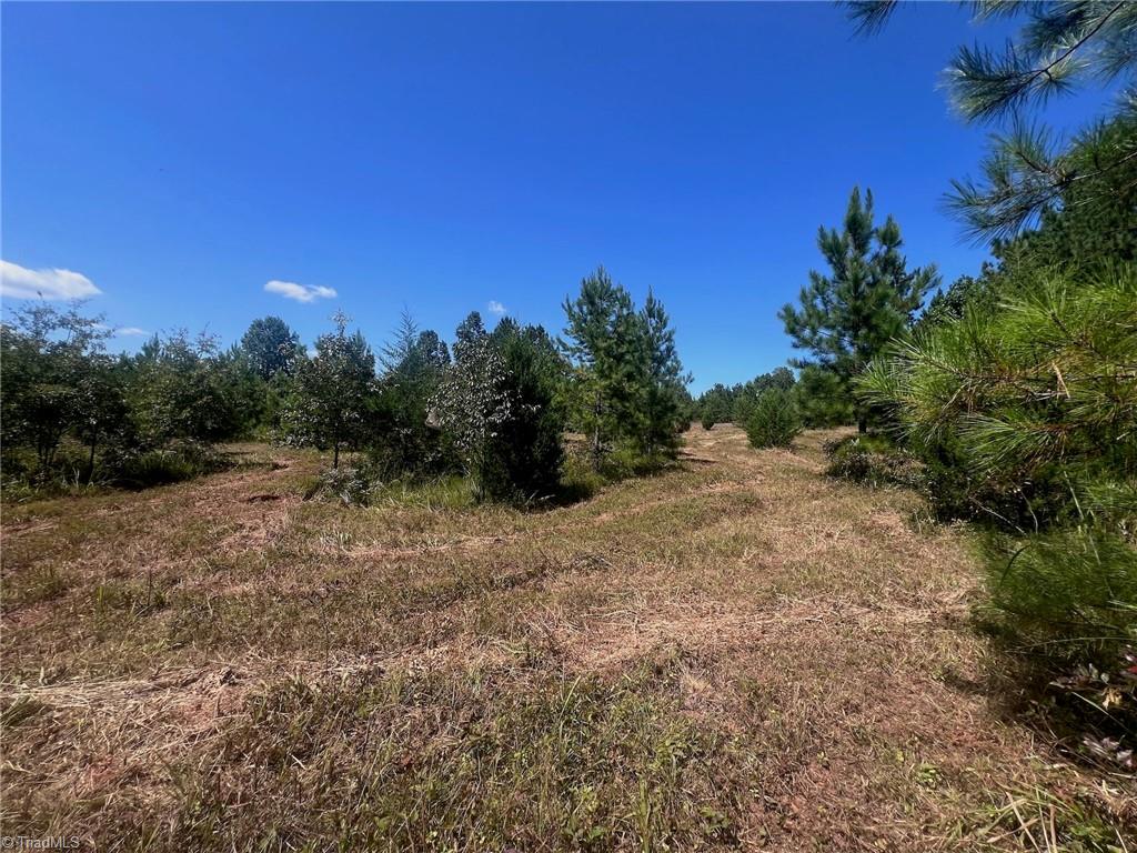 0 Old Morganton Road Rutherfordton, NC 28139 - Photo 39 of 50
