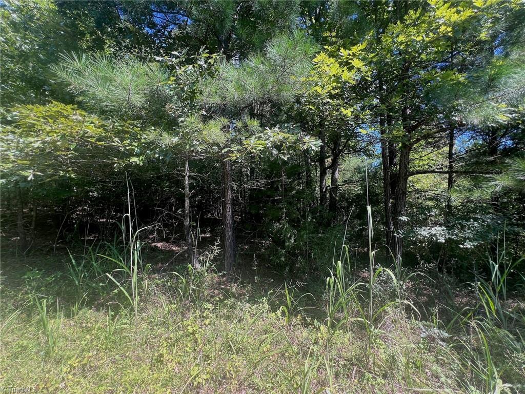 0 Old Morganton Road Rutherfordton, NC 28139 - Photo 42 of 50