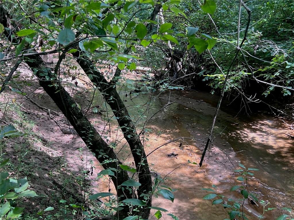 0 Old Morganton Road Rutherfordton, NC 28139 - Photo 46 of 50