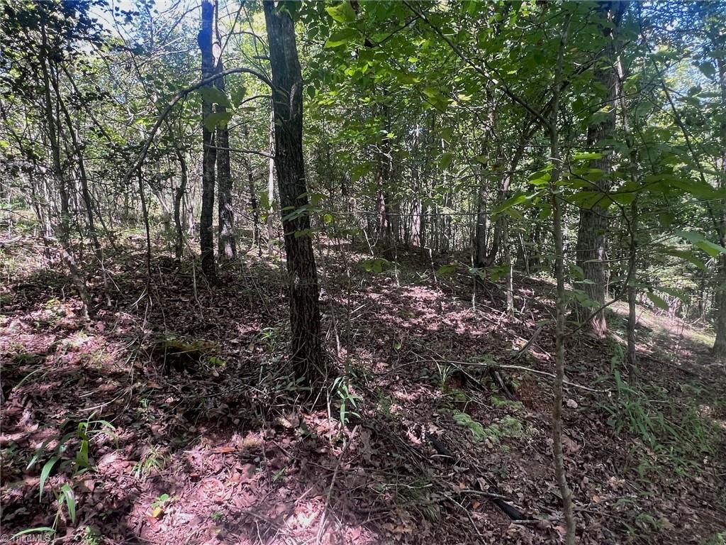 0 Old Morganton Road Rutherfordton, NC 28139 - Photo 49 of 50
