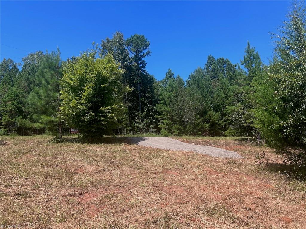 0 Old Morganton Road Rutherfordton, NC 28139 - Photo 8 of 50