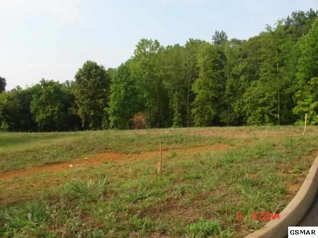 6 Pleasant Oaks Road Sevierville, TN 37862 - Photo 1 of 1