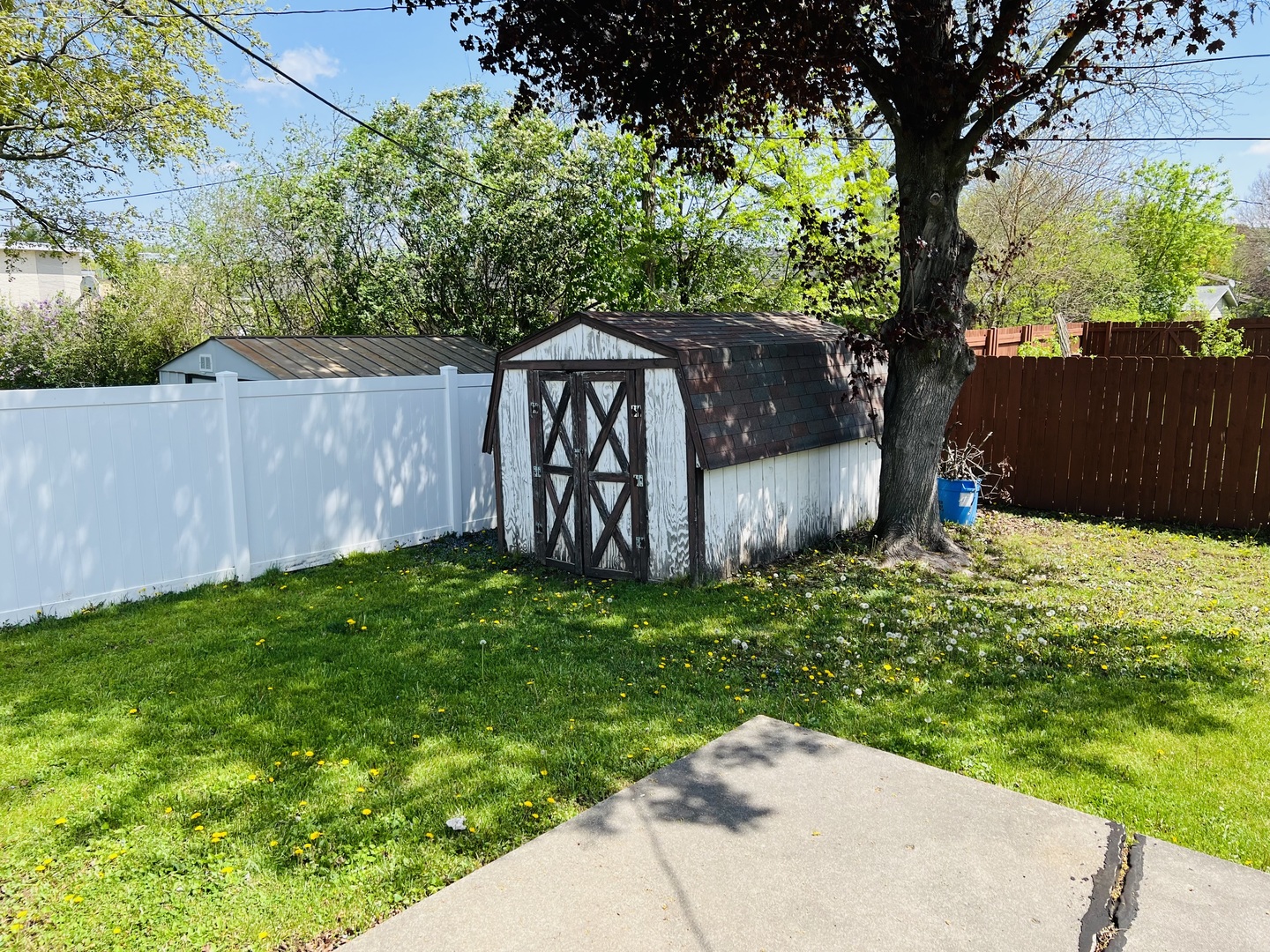 1085 North 2nd Street Rochelle, IL 61068 - Photo 17 of 18 a backyard of a house with lots of green space