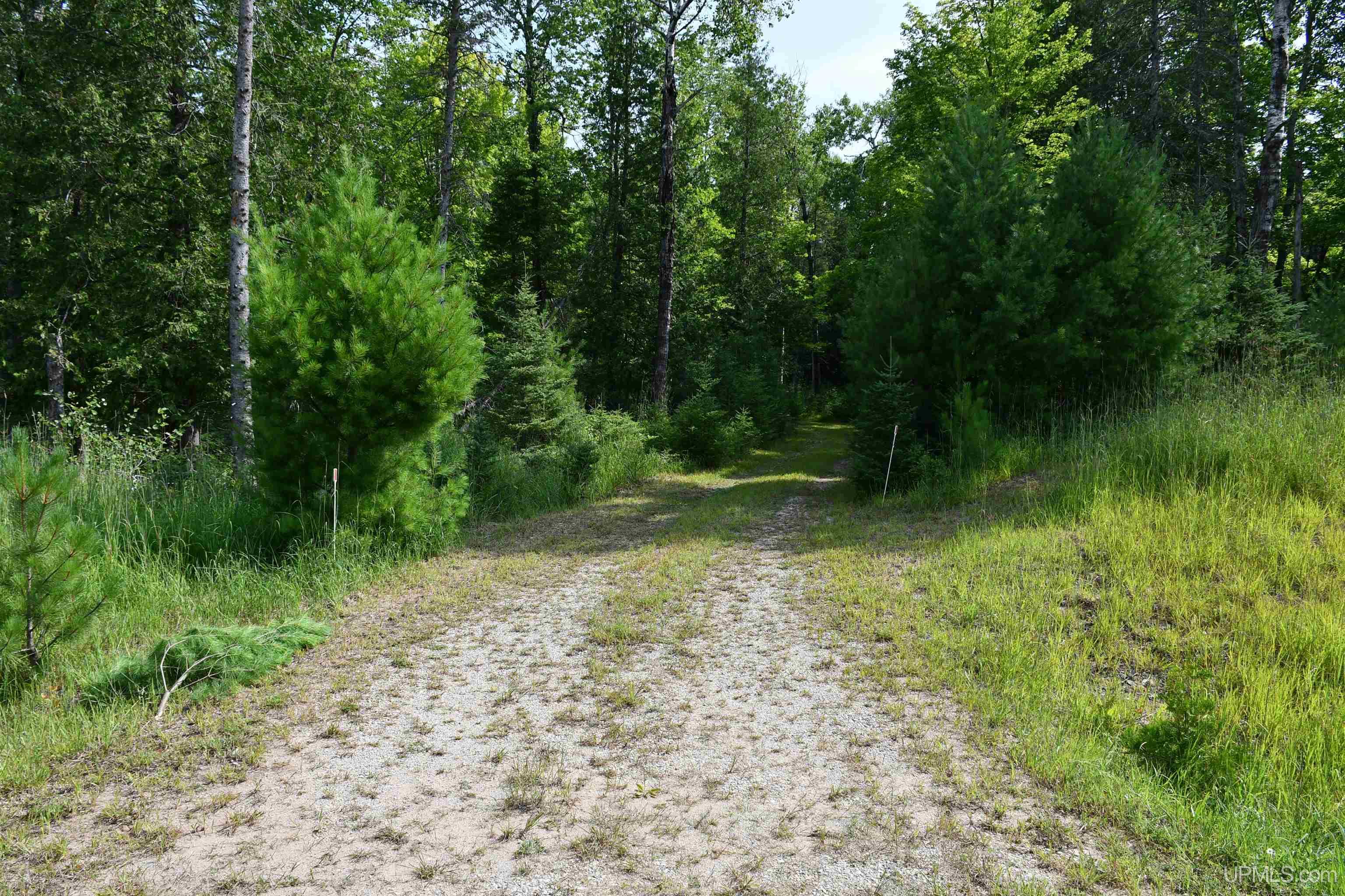 N11370 Cr 577 Road Daggett, MI 49821 - Photo 19 of 38