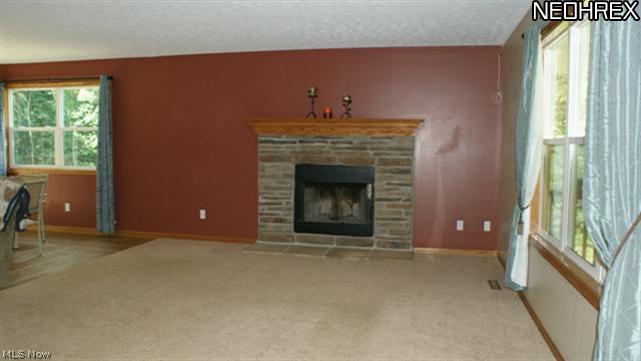 8710 Kennard Road Lodi, OH 44254 - Photo 3 of 19 Gallery Image 3