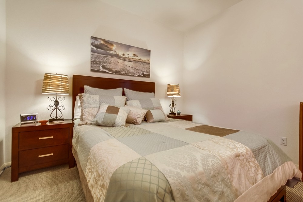 3925 Plateau Place Carlsbad, CA 92010 - Photo 16 of 25